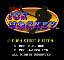 Image n° 1 - screenshots  : USA Ice Hockey